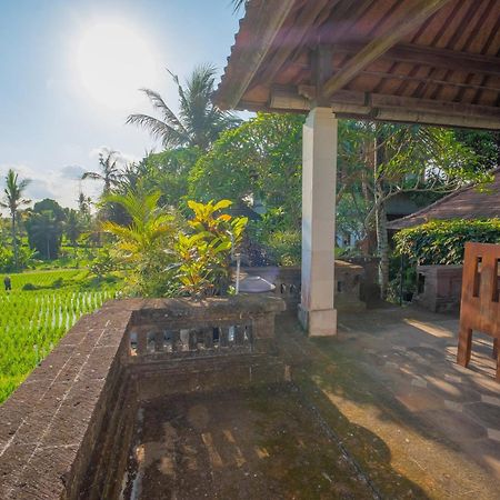Puri Cili Villa Ubud Kültér fotó
