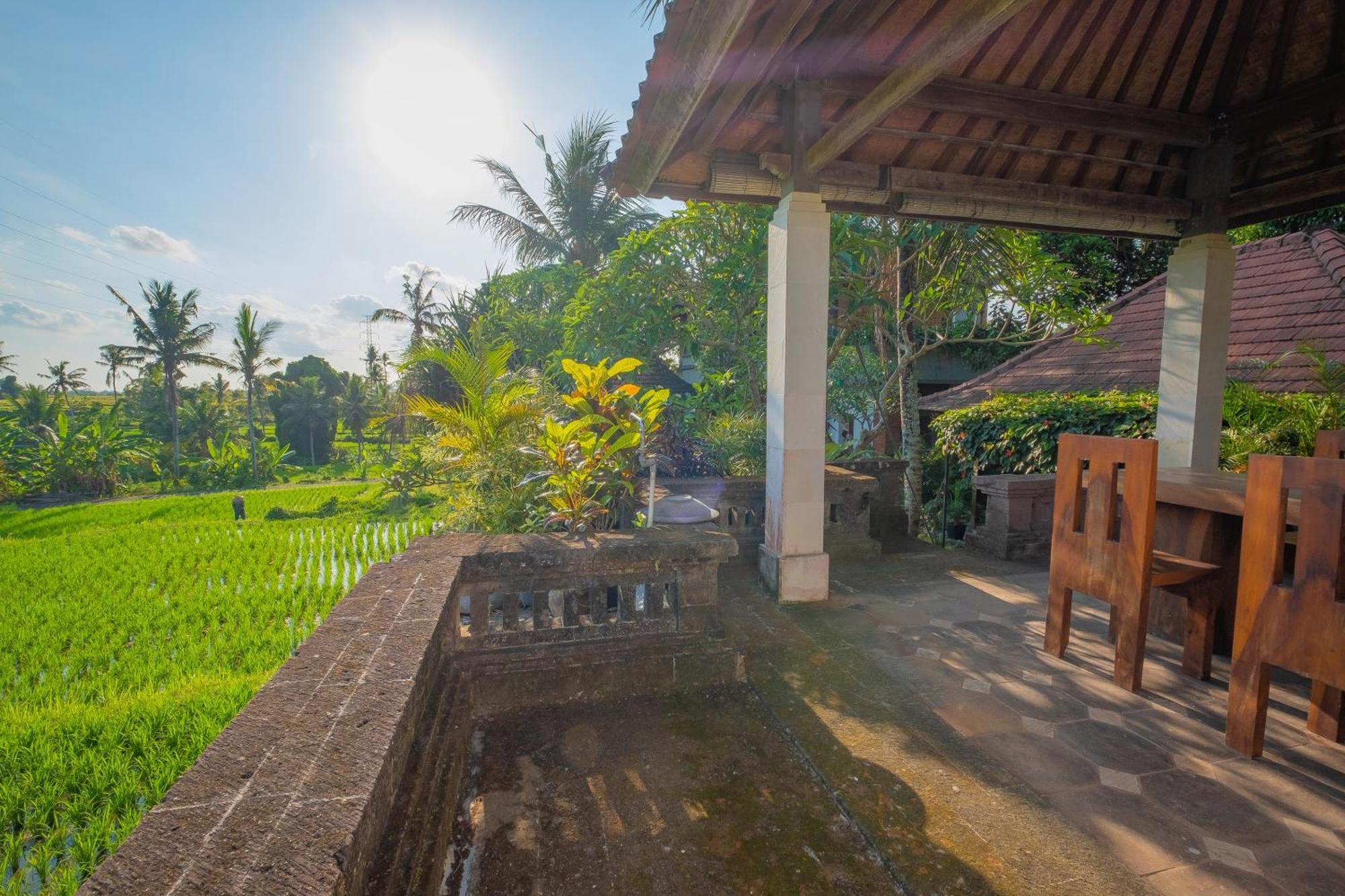 Puri Cili Villa Ubud Kültér fotó
